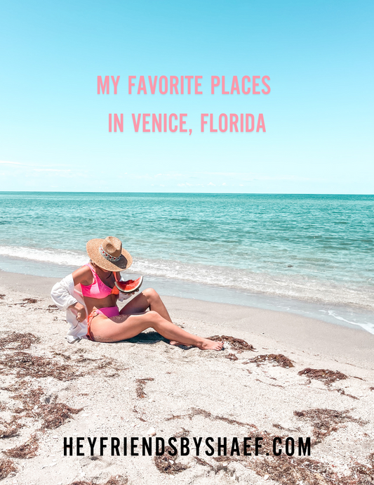 My Favorite Places In Venice, Florida